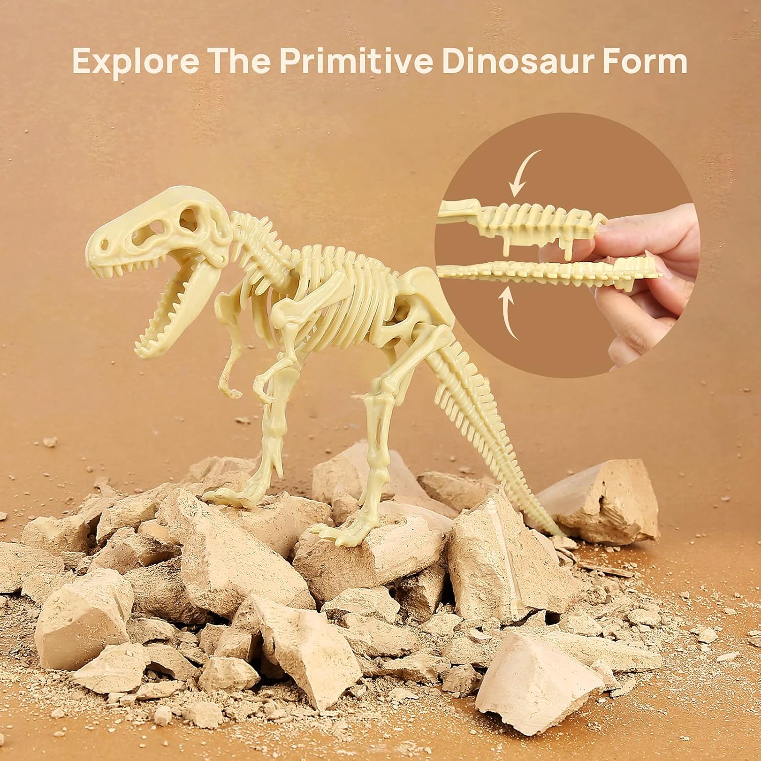 Dinosaur Skeleton Soil Excavation Model Kit (Large Size)