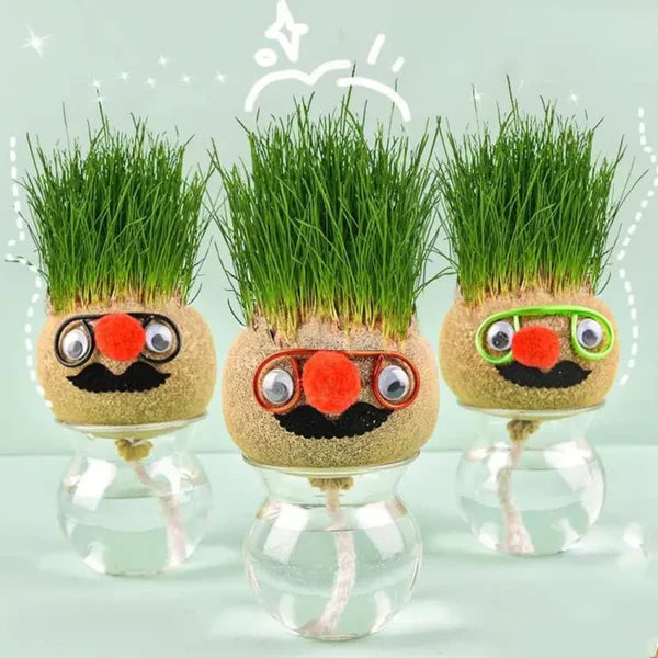 DIY Grass Head Growing kit