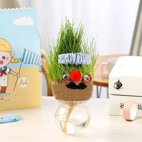 DIY Grass Head Growing kit